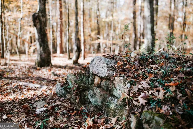 $110,000 | 0 Greensboro Road, Crawfordville, GA 30631