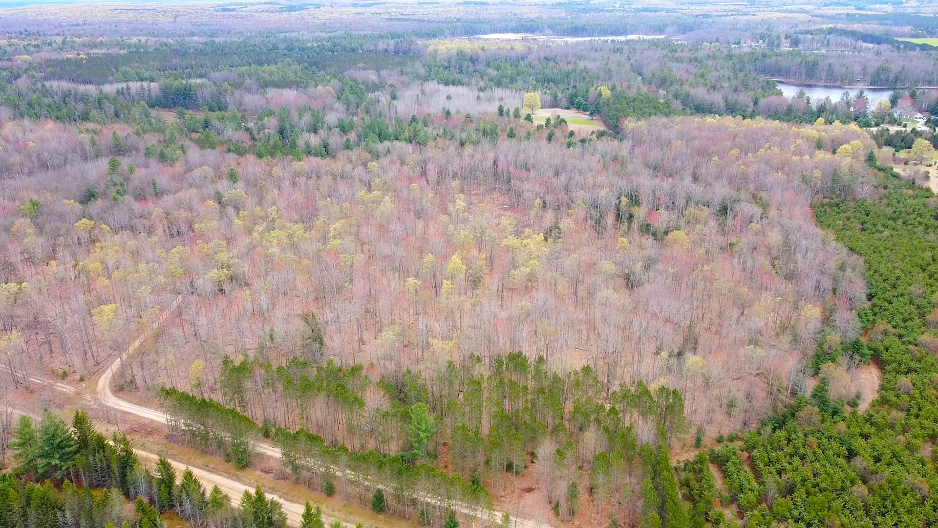 Southeast Spencer Road Southeast Kalkaska, MI 49646 - Photo 19 of 36