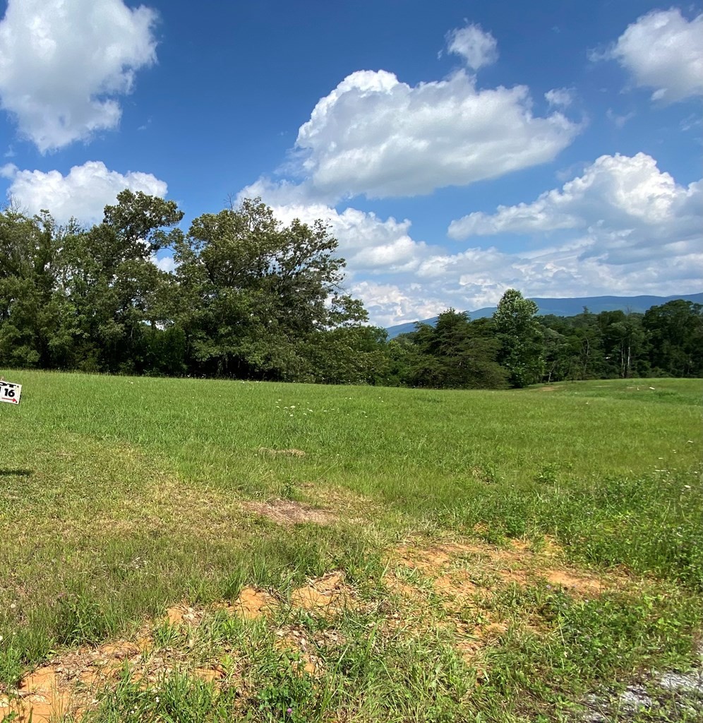 16 Buttercup Way Newport, TN 37821 - Photo 2 of 7