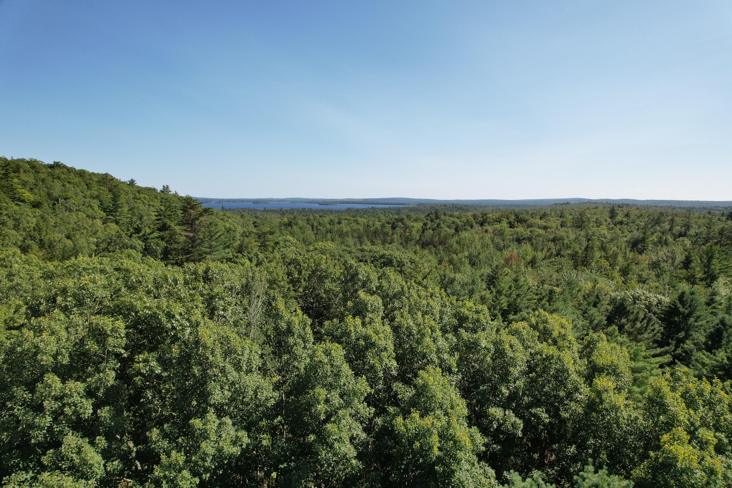 Lot 53 Robb Hill Road Alexander, ME 04694 - Photo 23 of 29 DJI_0050