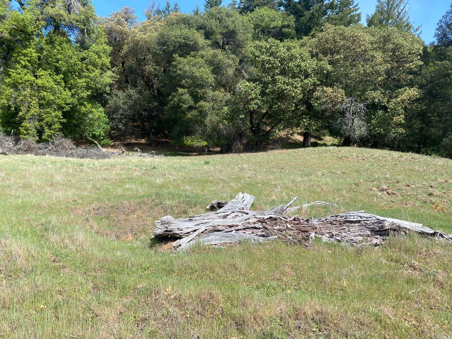 19010 Hulbert Road Hopland, CA 95449 - Photo 15 of 28 First bench above the road