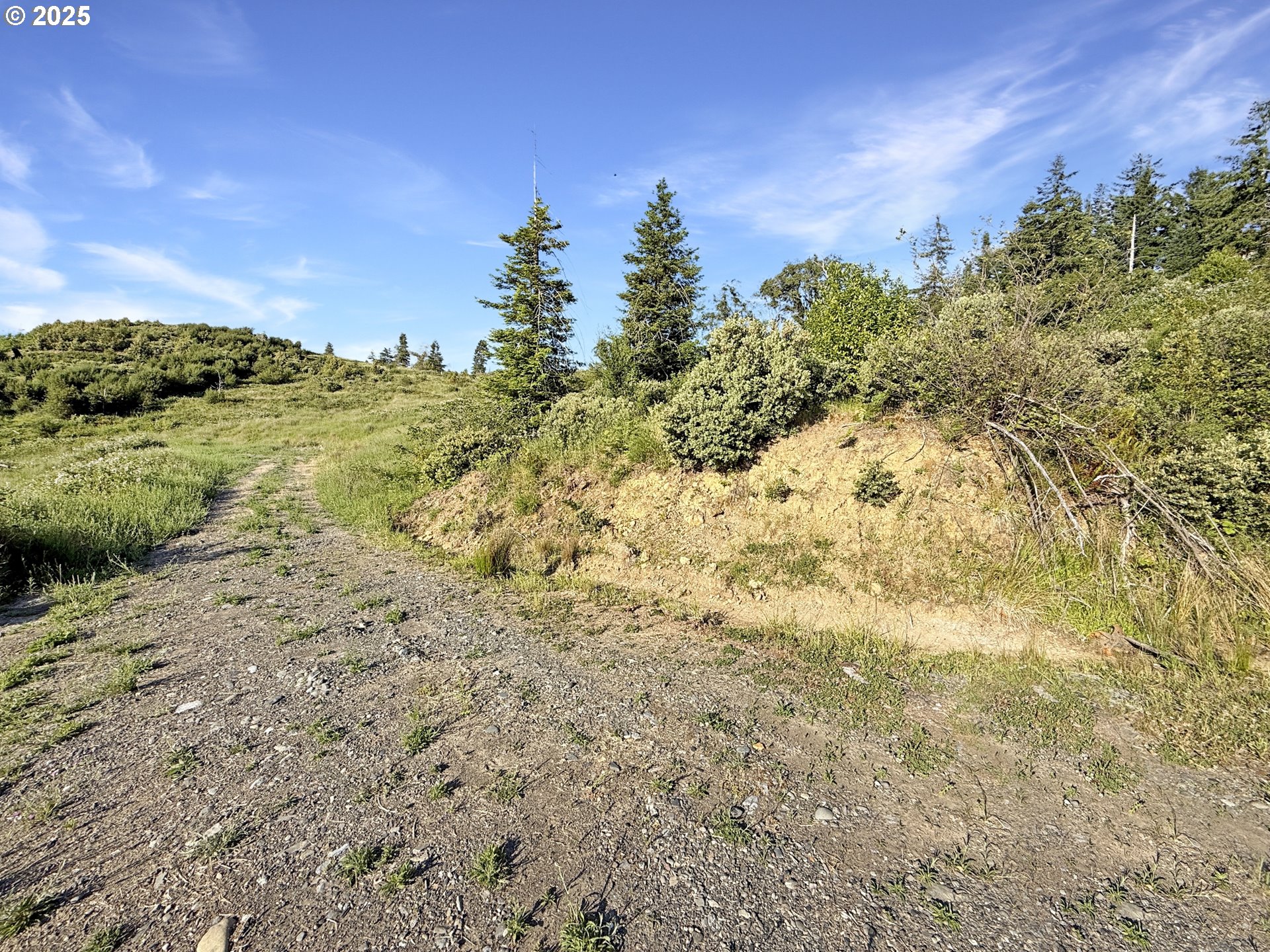 466 Gardner Ridge Road Brookings, OR 97415 - Photo 11 of 19
