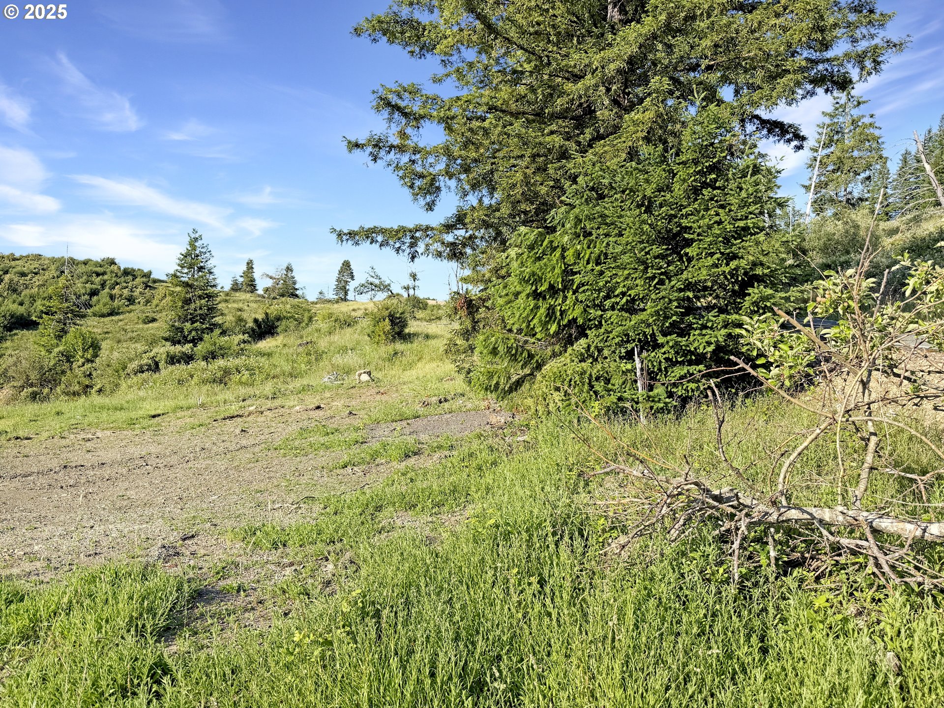 466 Gardner Ridge Road Brookings, OR 97415 - Photo 14 of 19