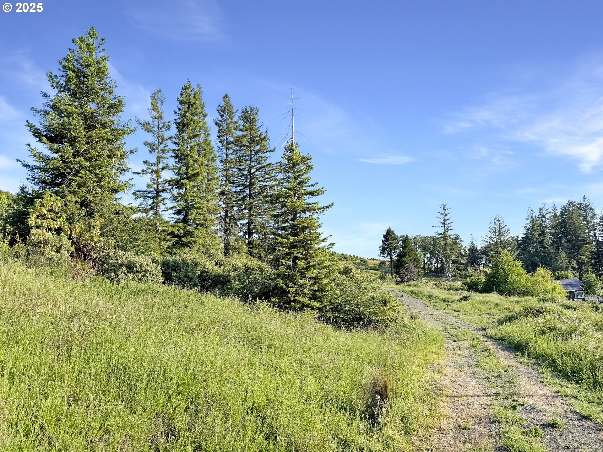466 Gardner Ridge Road Brookings, OR 97415 - Photo 16 of 19