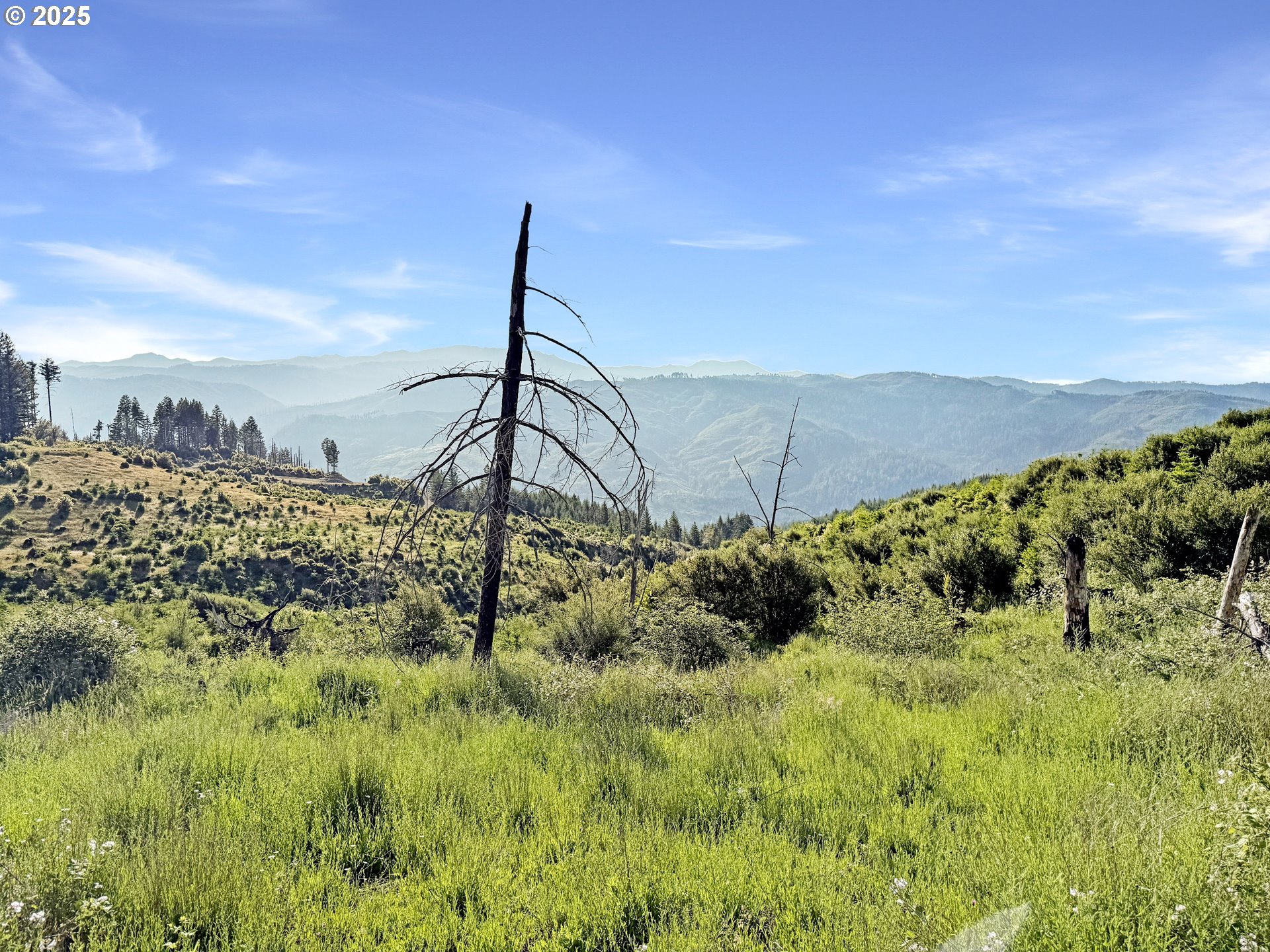466 Gardner Ridge Road Brookings, OR 97415 - Photo 4 of 19