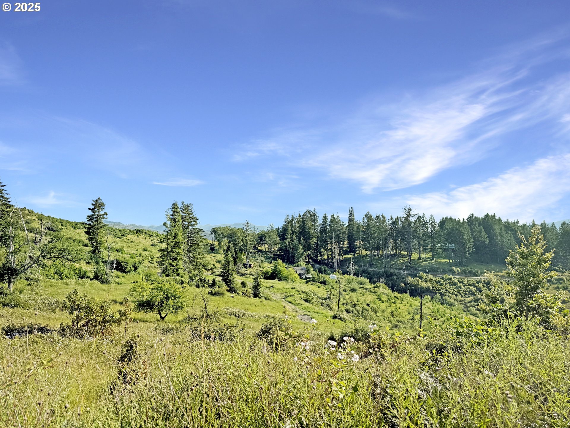 466 Gardner Ridge Road Brookings, OR 97415 - Photo 6 of 19