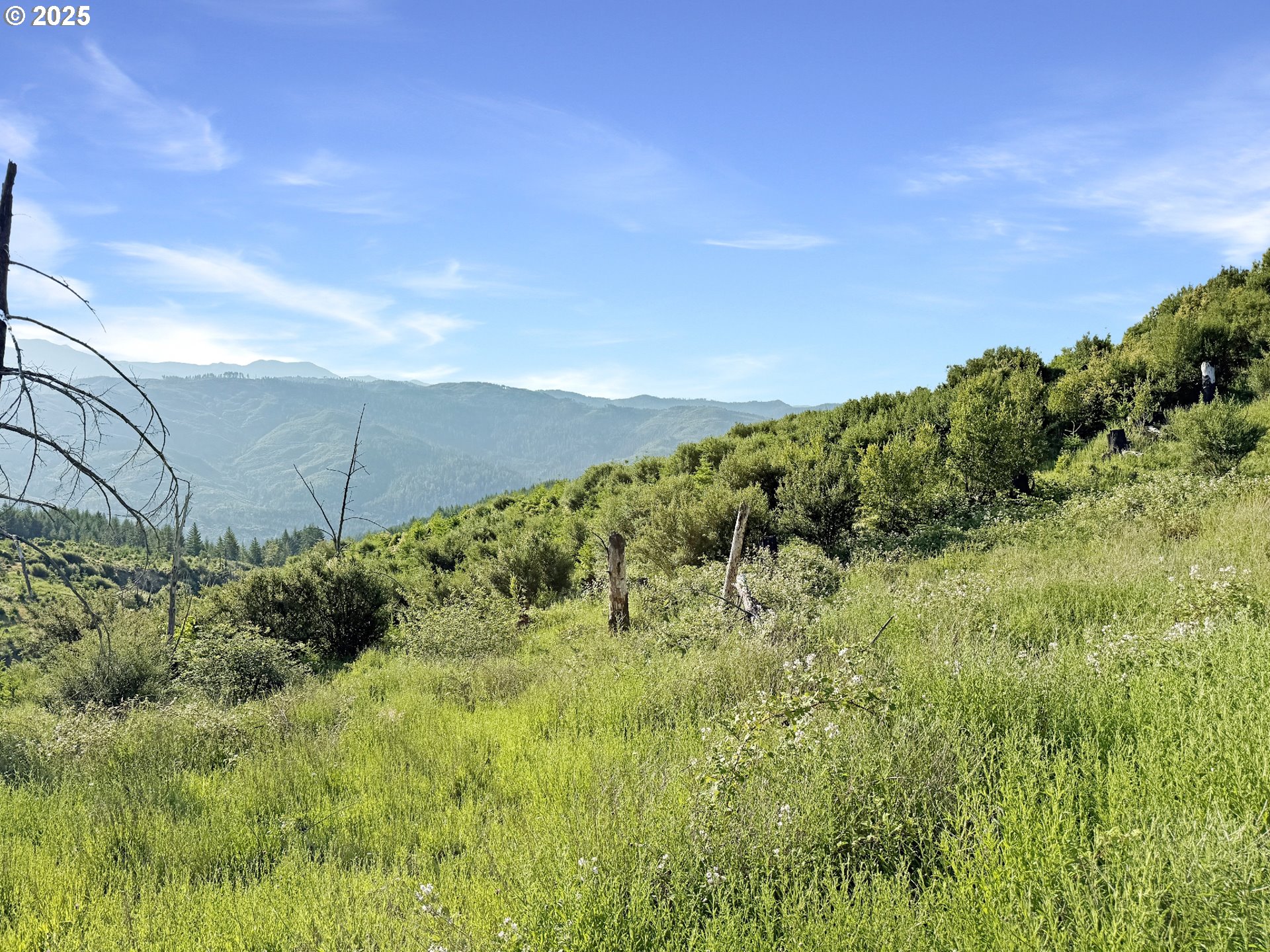 466 Gardner Ridge Road Brookings, OR 97415 - Photo 8 of 19