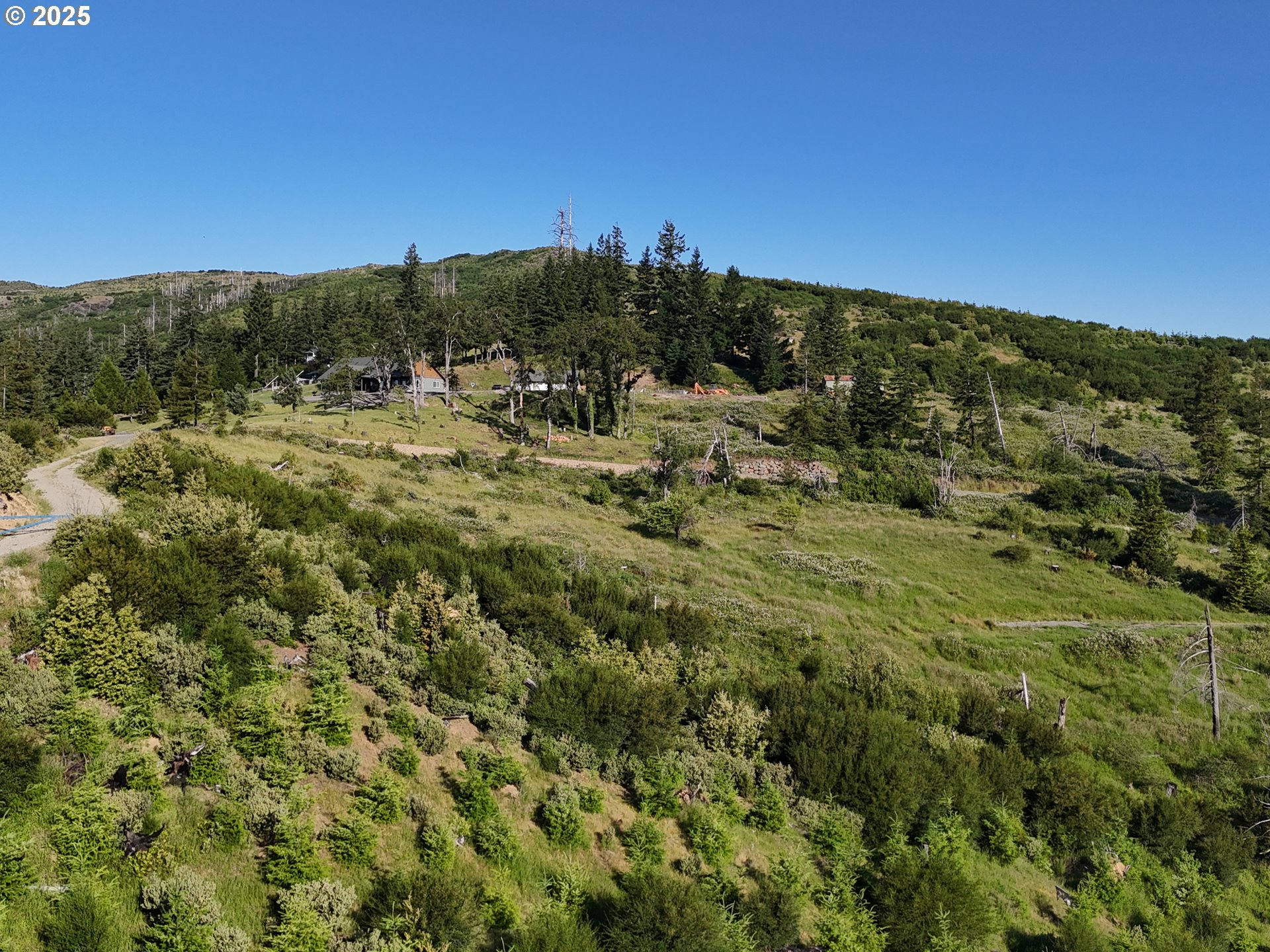 466 Gardner Ridge Road Brookings, OR 97415 - Photo 9 of 19