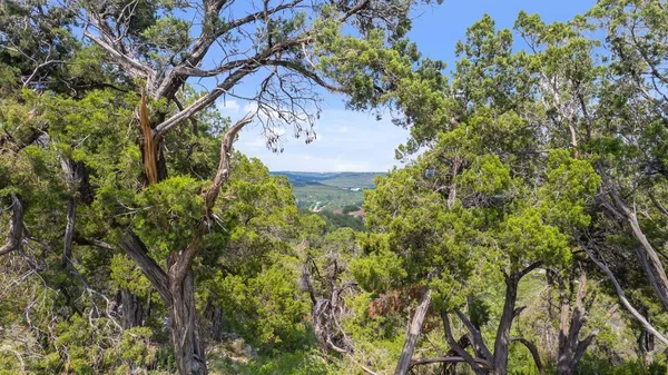 $390,000 | 17933 Ranchland Hill Vista, Jonestown, TX 78645