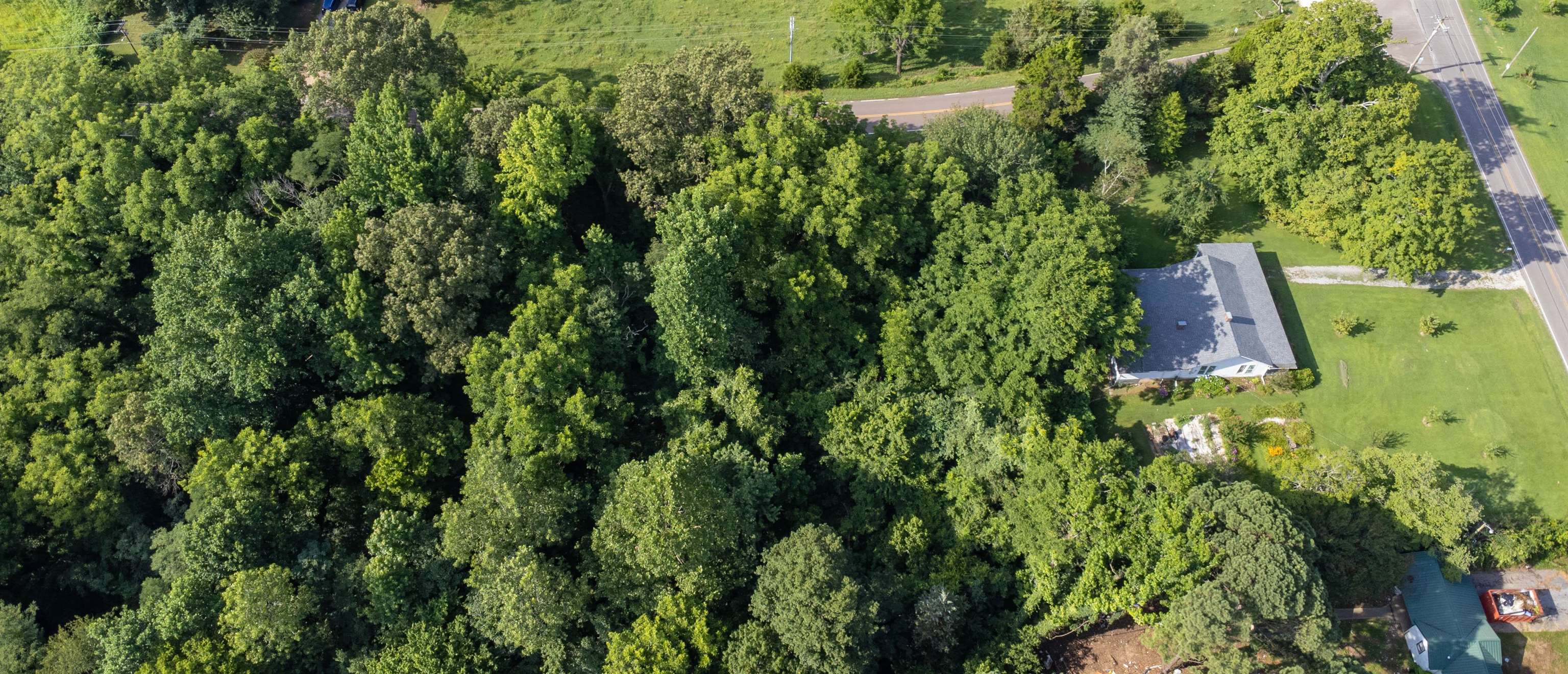 2440 Edith-Nankipoo Road Ripley, TN 38063 - Photo 24 of 27 a view of a yard with plants