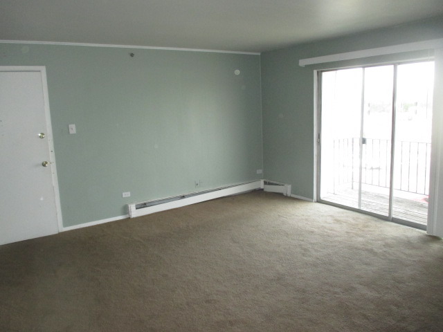 10324 Ridgeland Avenue, Unit 303 Chicago Ridge, IL 60415 - Photo 5 of 12