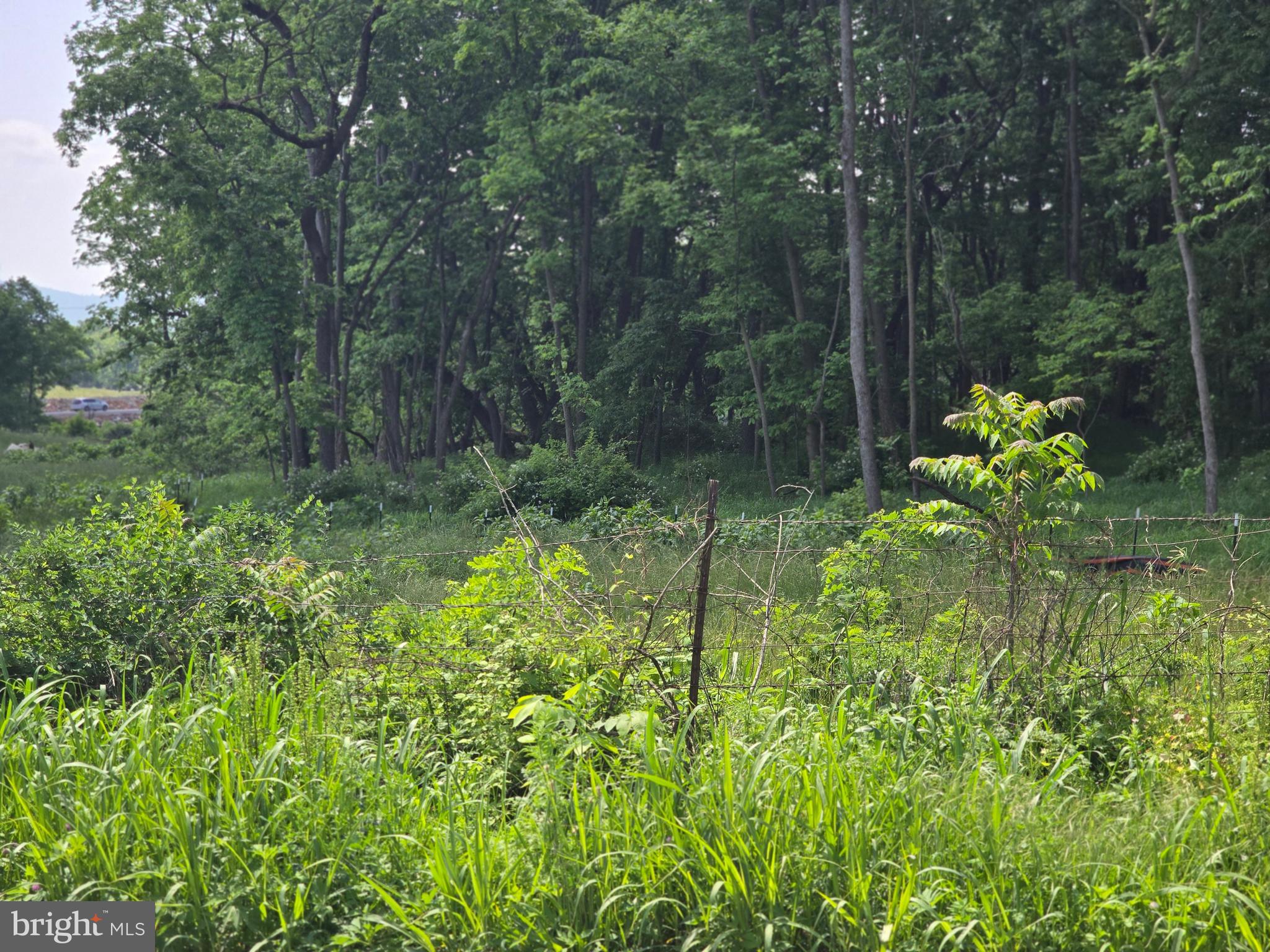 Lewisville Rd Summit Point Summit Point, WV 25446 - Photo 2 of 29 a view of a garden