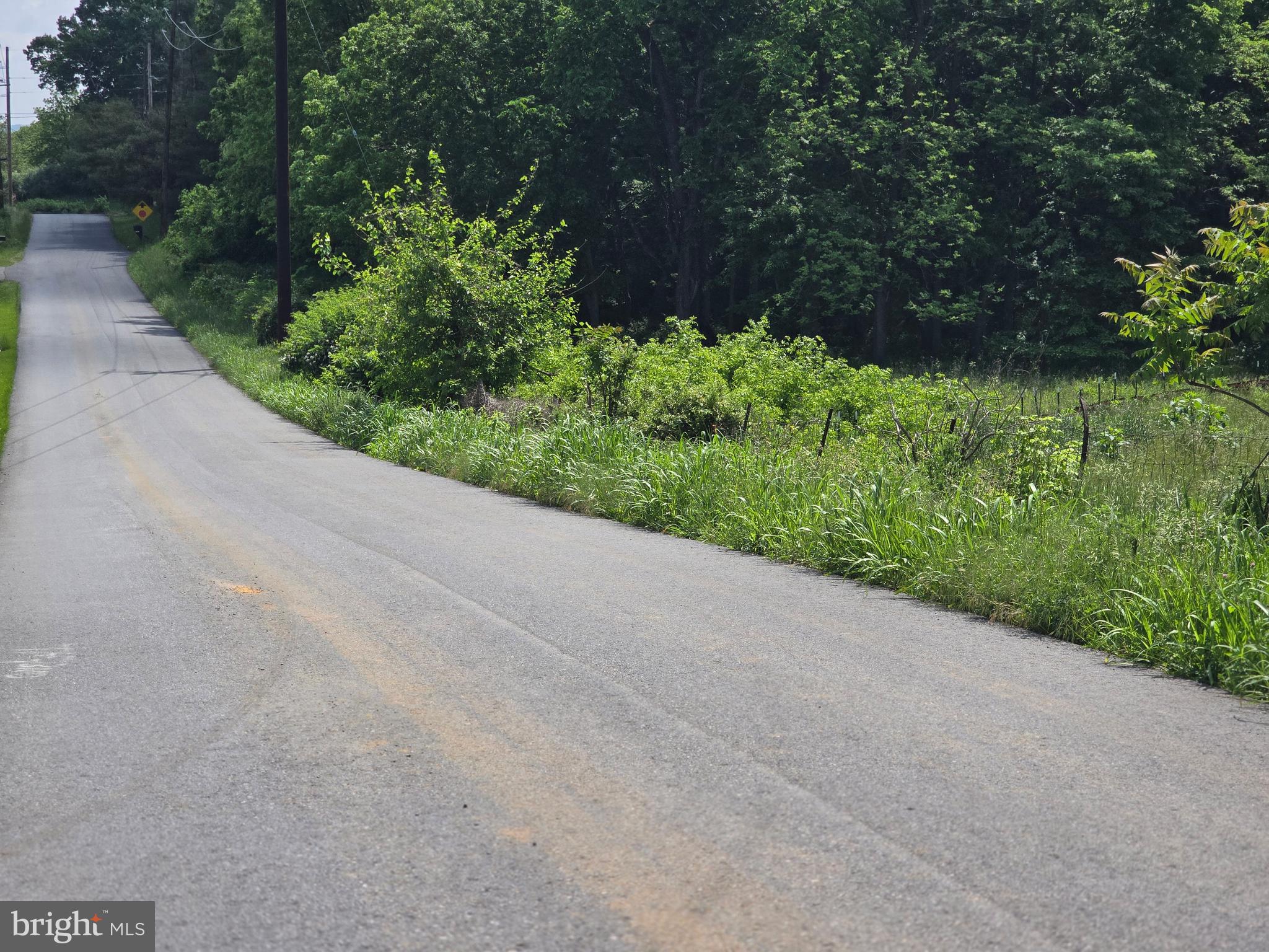 Lewisville Rd Summit Point Summit Point, WV 25446 - Photo 4 of 29 a view of a garden with plants