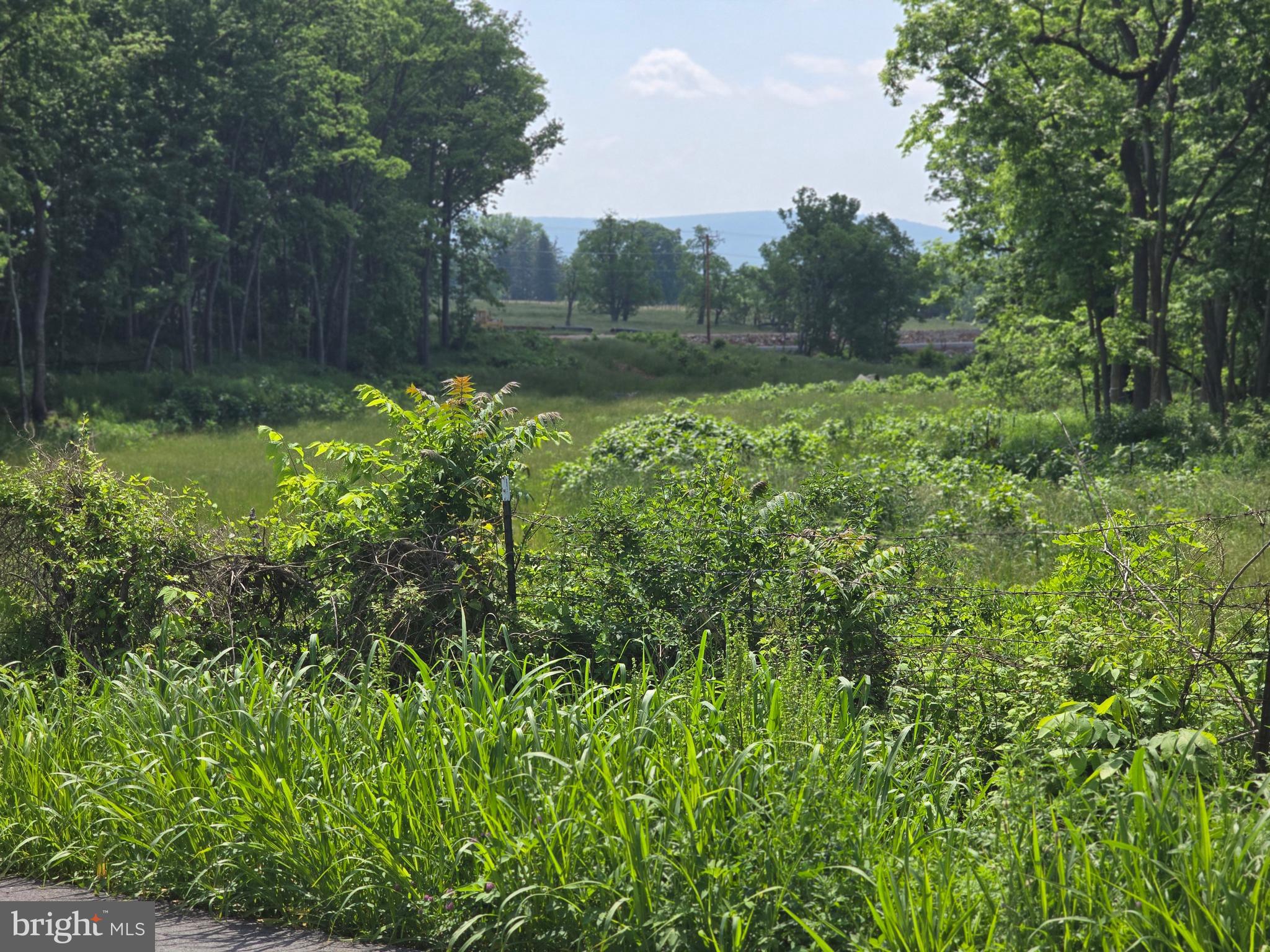 Lewisville Rd Summit Point Summit Point, WV 25446 - Photo 7 of 29 a view of a yard