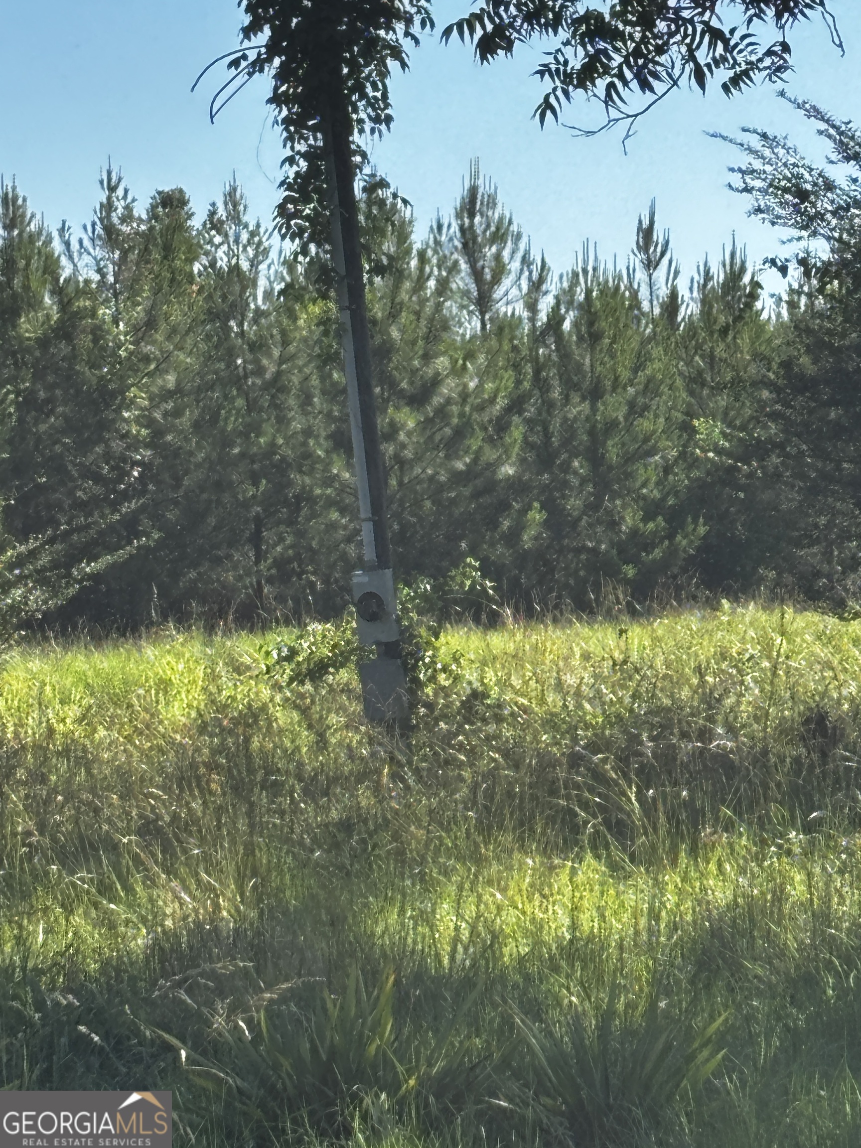 0 Bill Oliver Road Wrightsville, GA 31096 - Photo 3 of 4