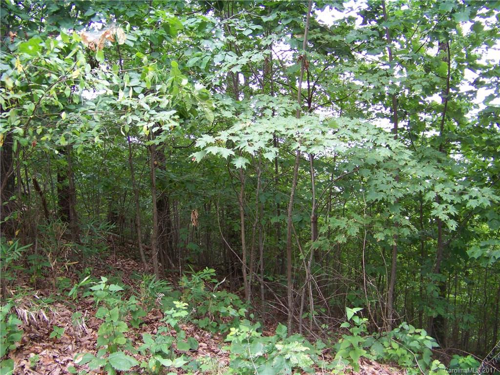 0 Golden Ridge Drive, Unit LOT 134 Rutherfordton, NC 28139 - Photo 2 of 9
