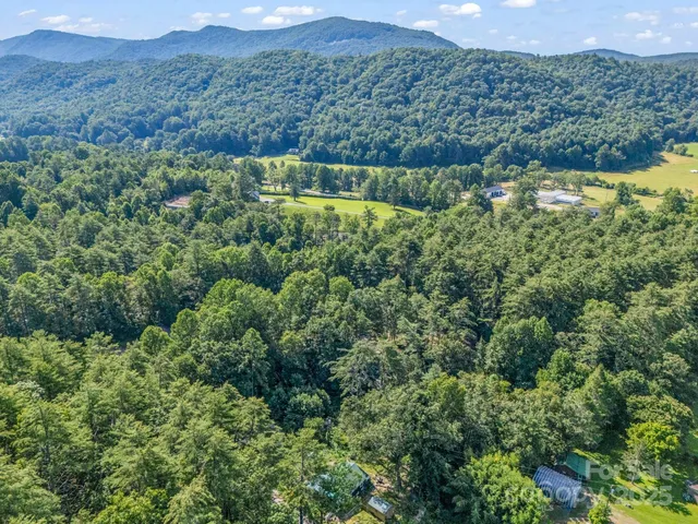 a view of a green field with lots of bushes