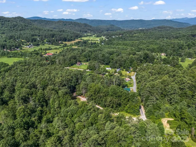 a view of a lush green hillside and houses