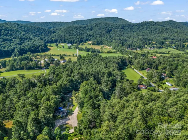 a view of a lush green forest with a street