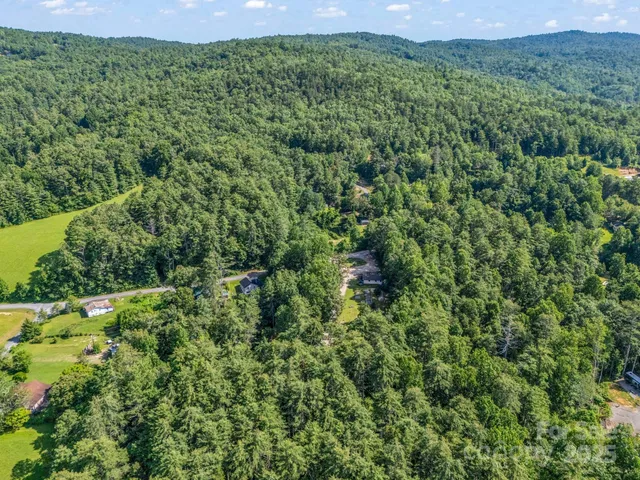 a view of a lush green forest with trees and some houses