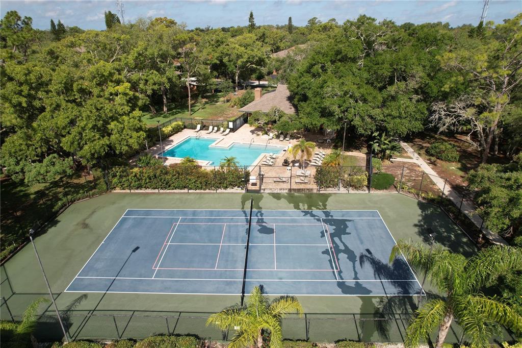 1006 Lennox Road West, Unit 1006 Palm Harbor, FL 34683 - Photo 38 of 44