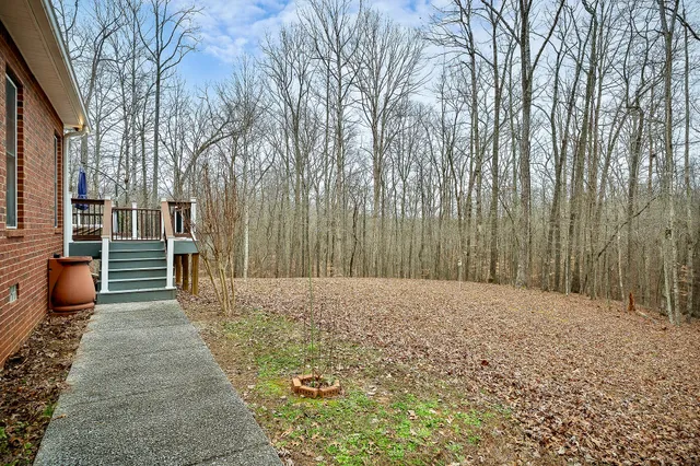 a view of a backyard of the house