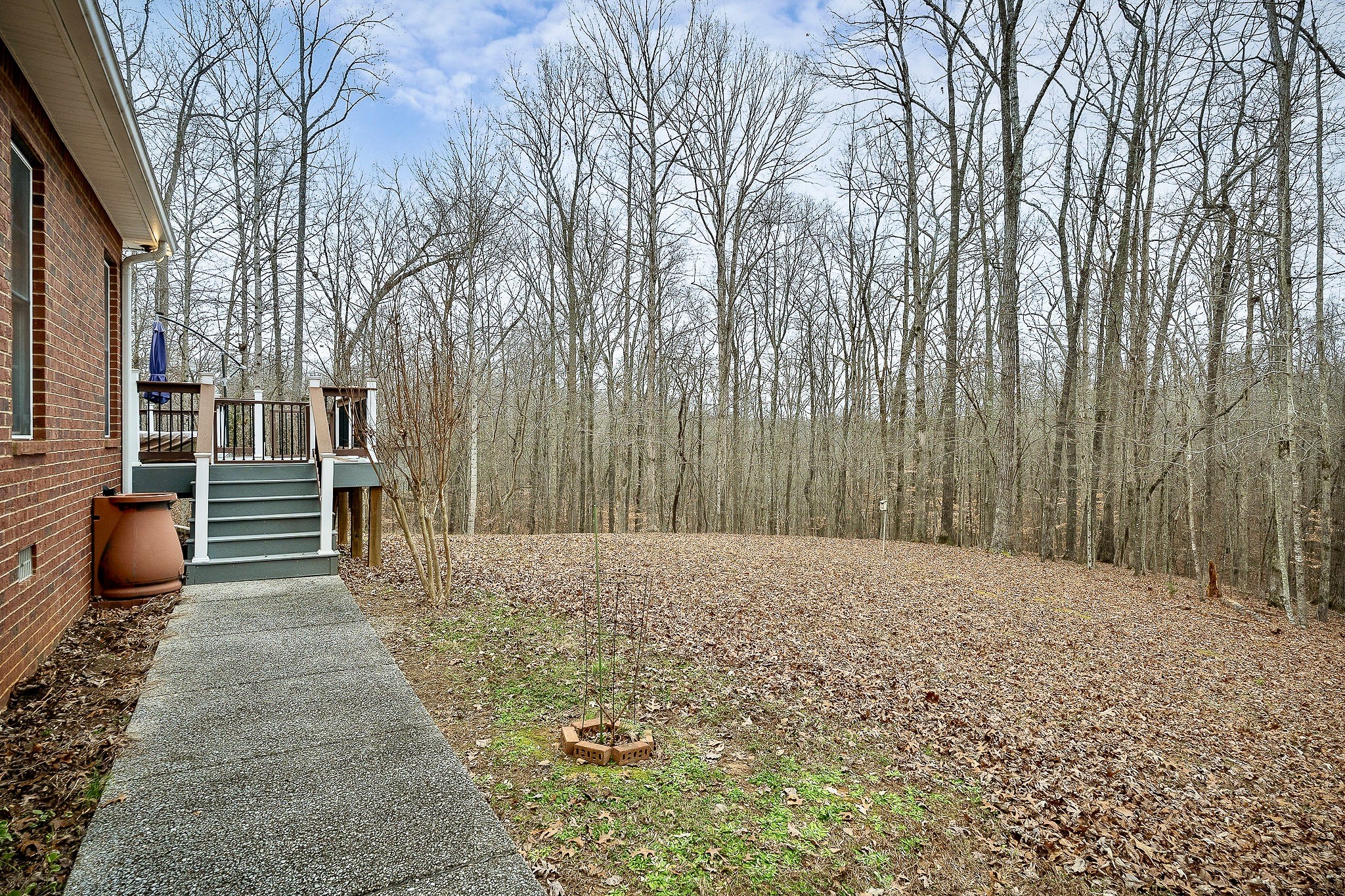 120 Dunrobin Court Sparta, TN 38583 - Photo 32 of 42 a view of a backyard of the house