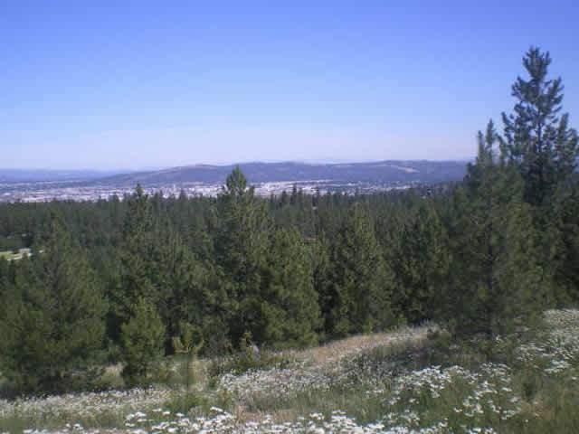 2812 South Park Road Spokane, WA 99212 - Photo 2 of 6
