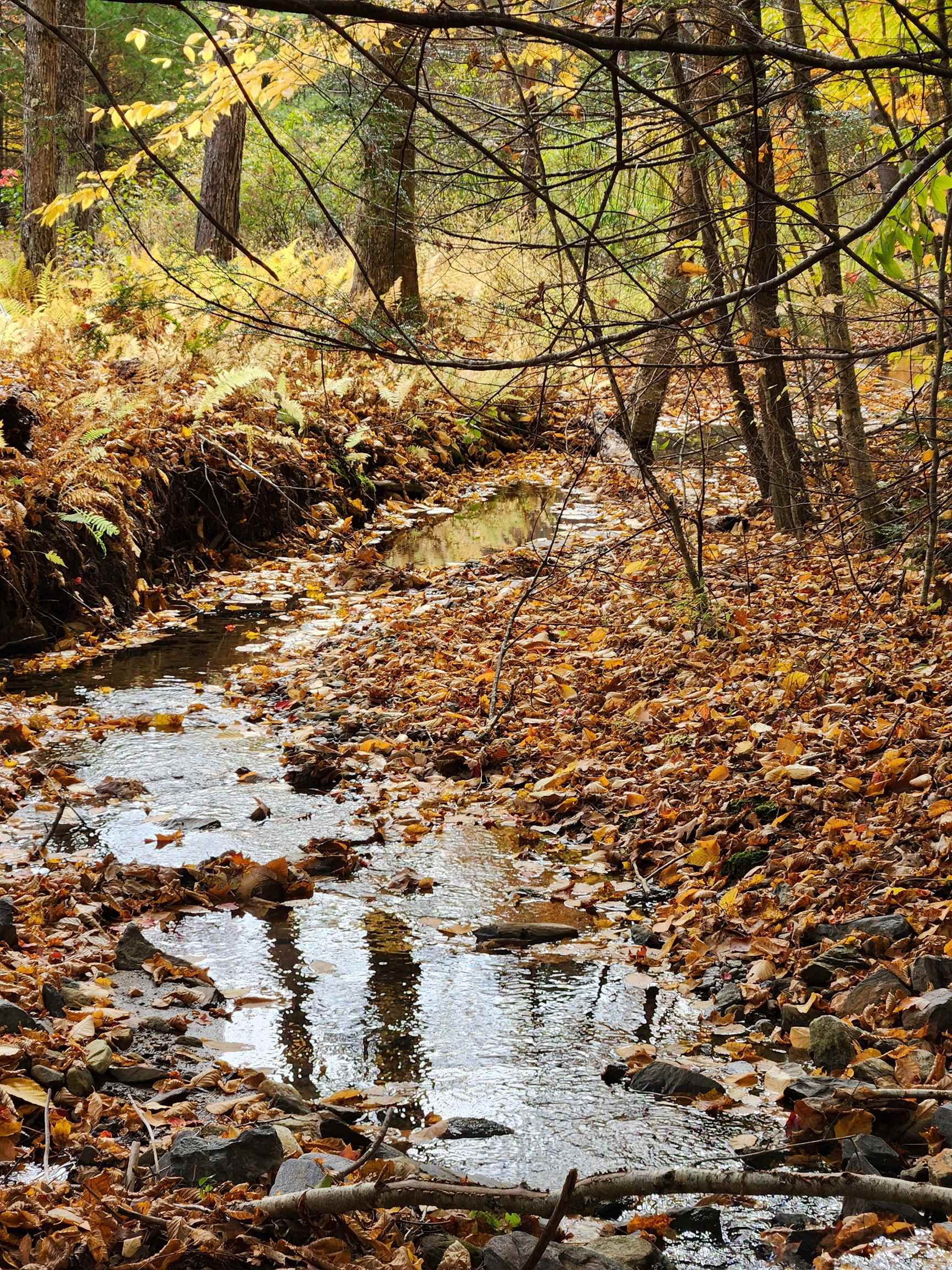 394 Timson Hill Road Newfane, VT 05345 - Photo 12 of 20