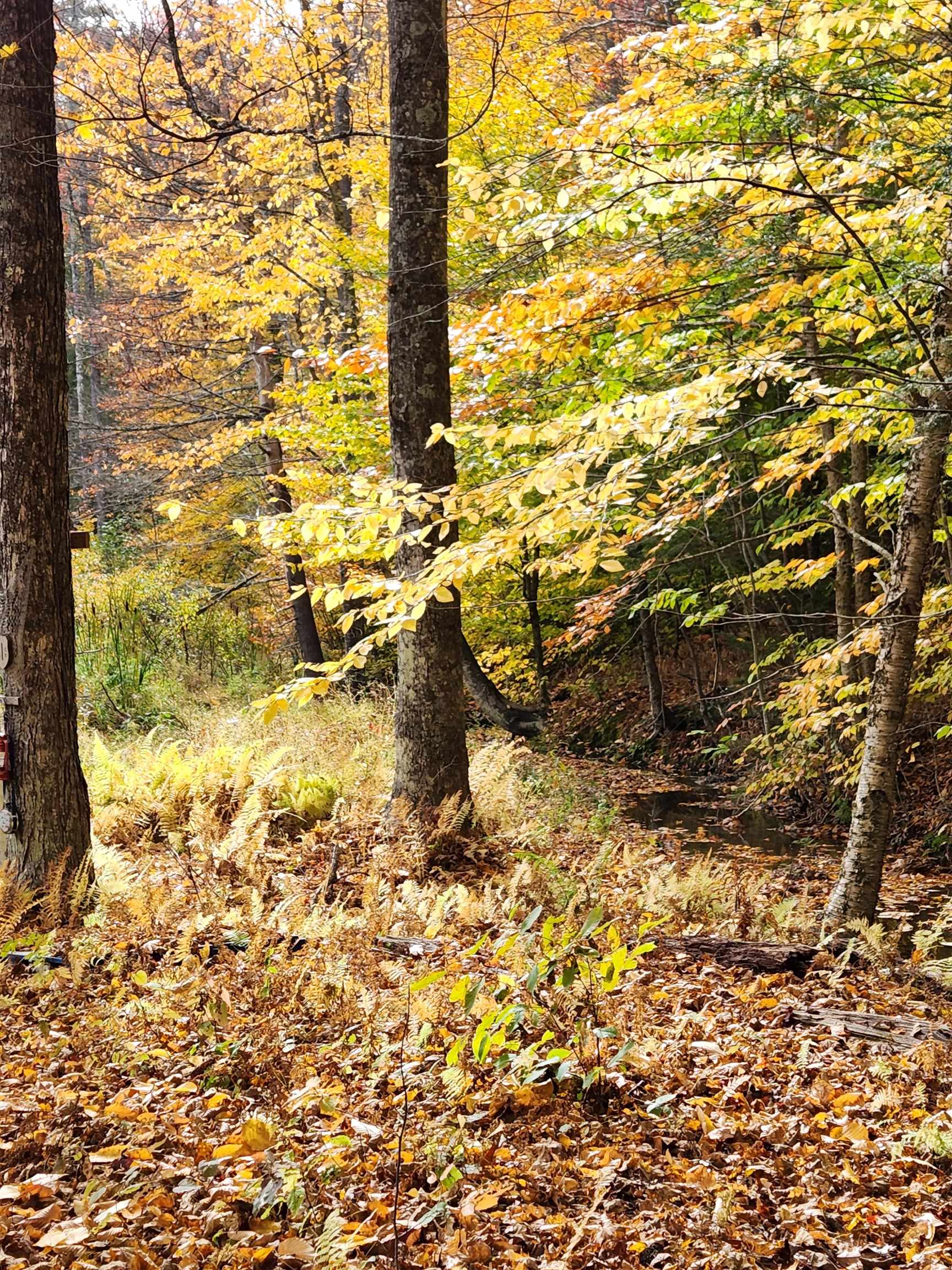 394 Timson Hill Road Newfane, VT 05345 - Photo 13 of 20