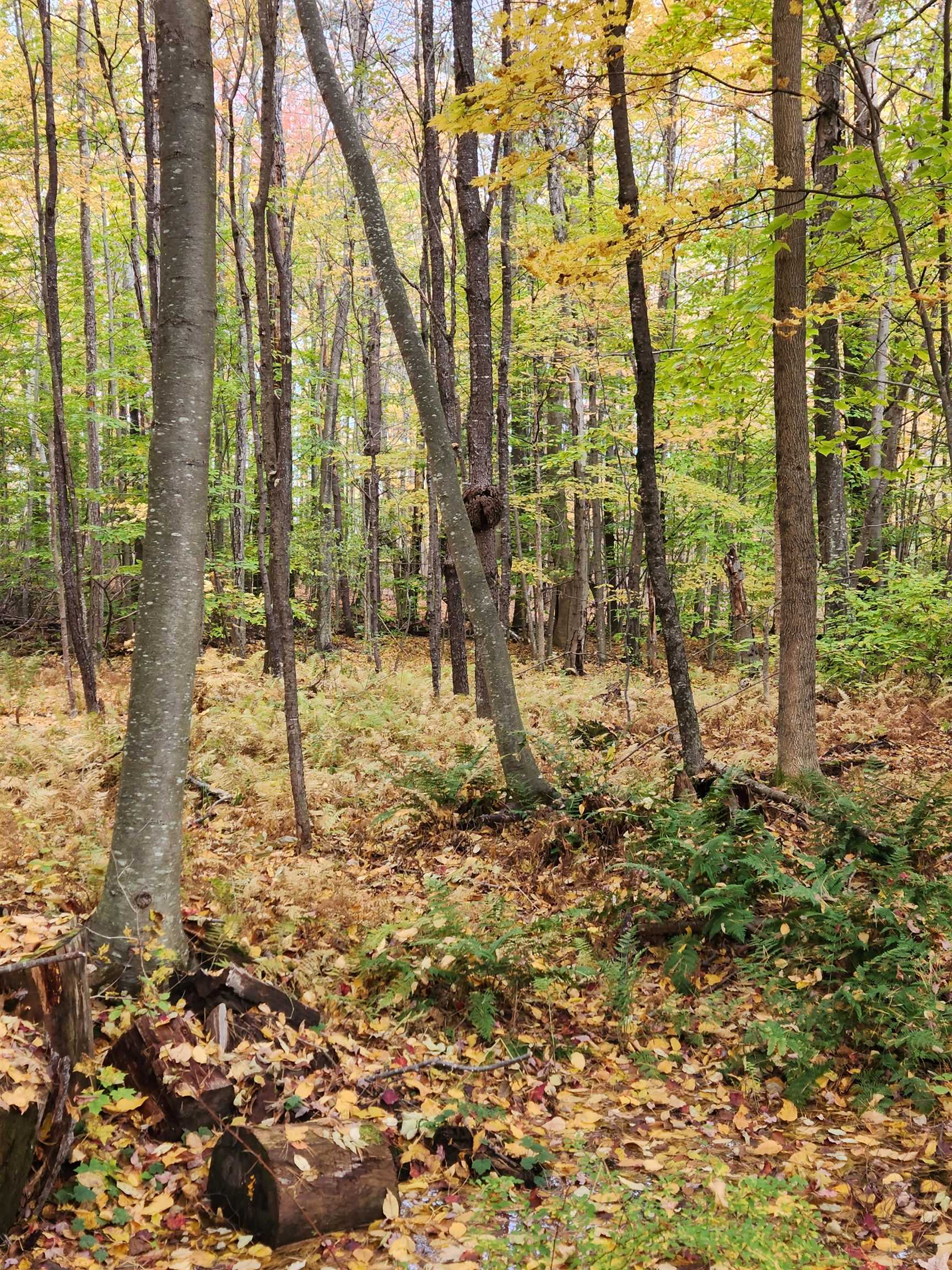 394 Timson Hill Road Newfane, VT 05345 - Photo 14 of 20