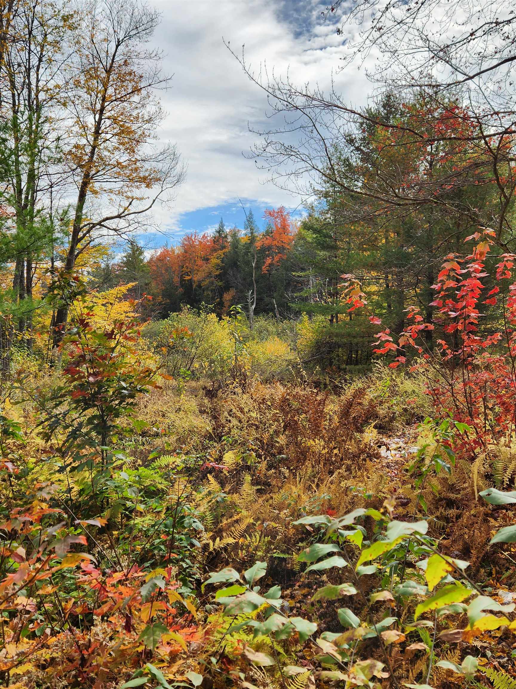 394 Timson Hill Road Newfane, VT 05345 - Photo 9 of 20