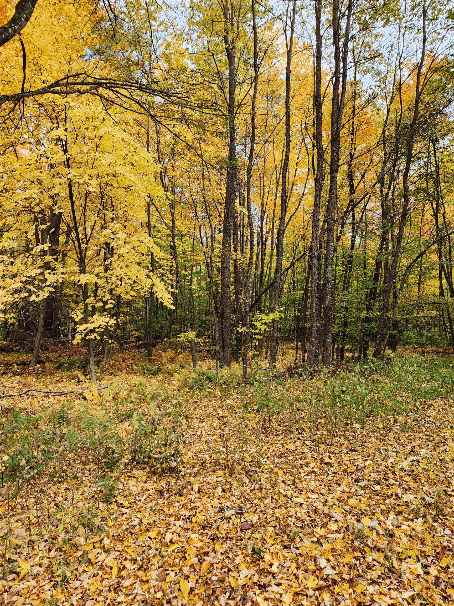 394 Timson Hill Road Newfane, VT 05345 - Photo 10 of 20