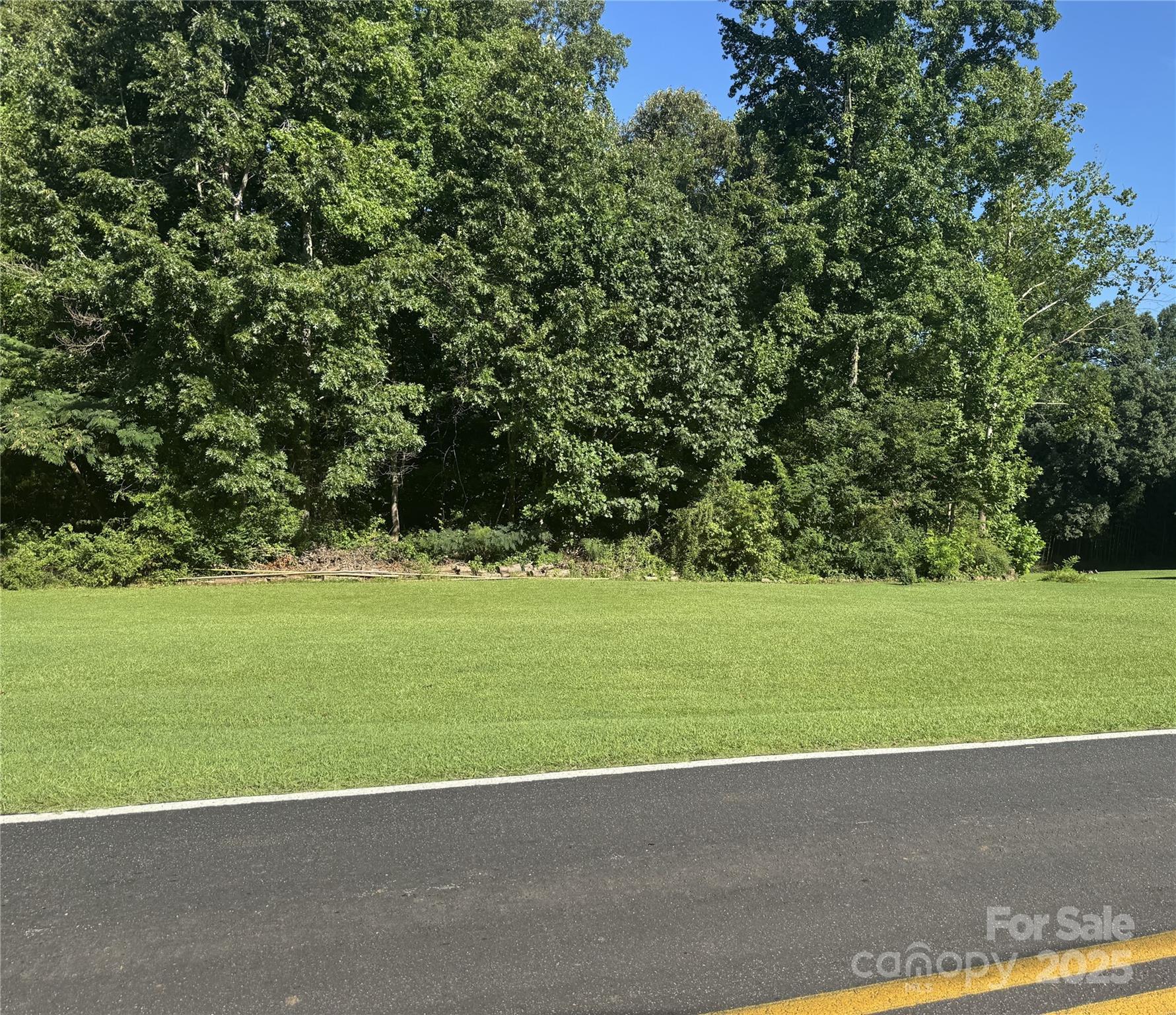 a view of a big yard with a trees