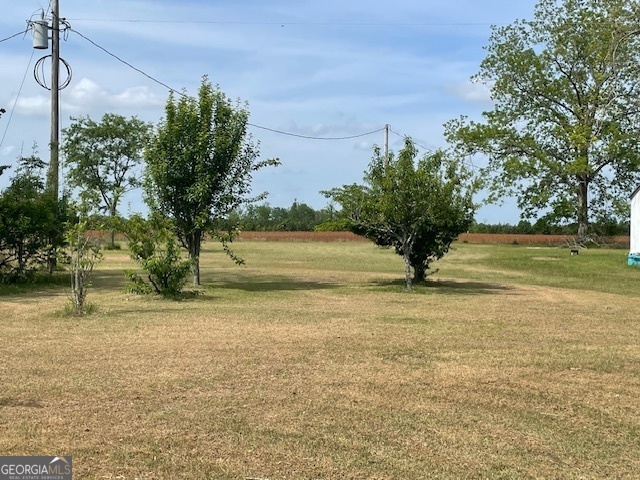 16877 Highway 129 Cobbtown, GA 30420 - Photo 37 of 45 a view of a yard with a house
