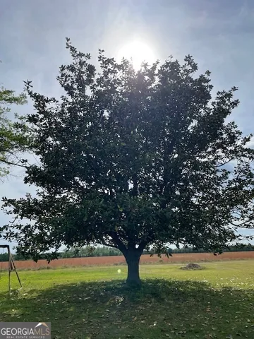 a view of yard with swimming pool