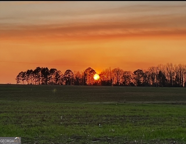 16877 Highway 129 Cobbtown, GA 30420 - Photo 45 of 45 a view of outdoor space and yard