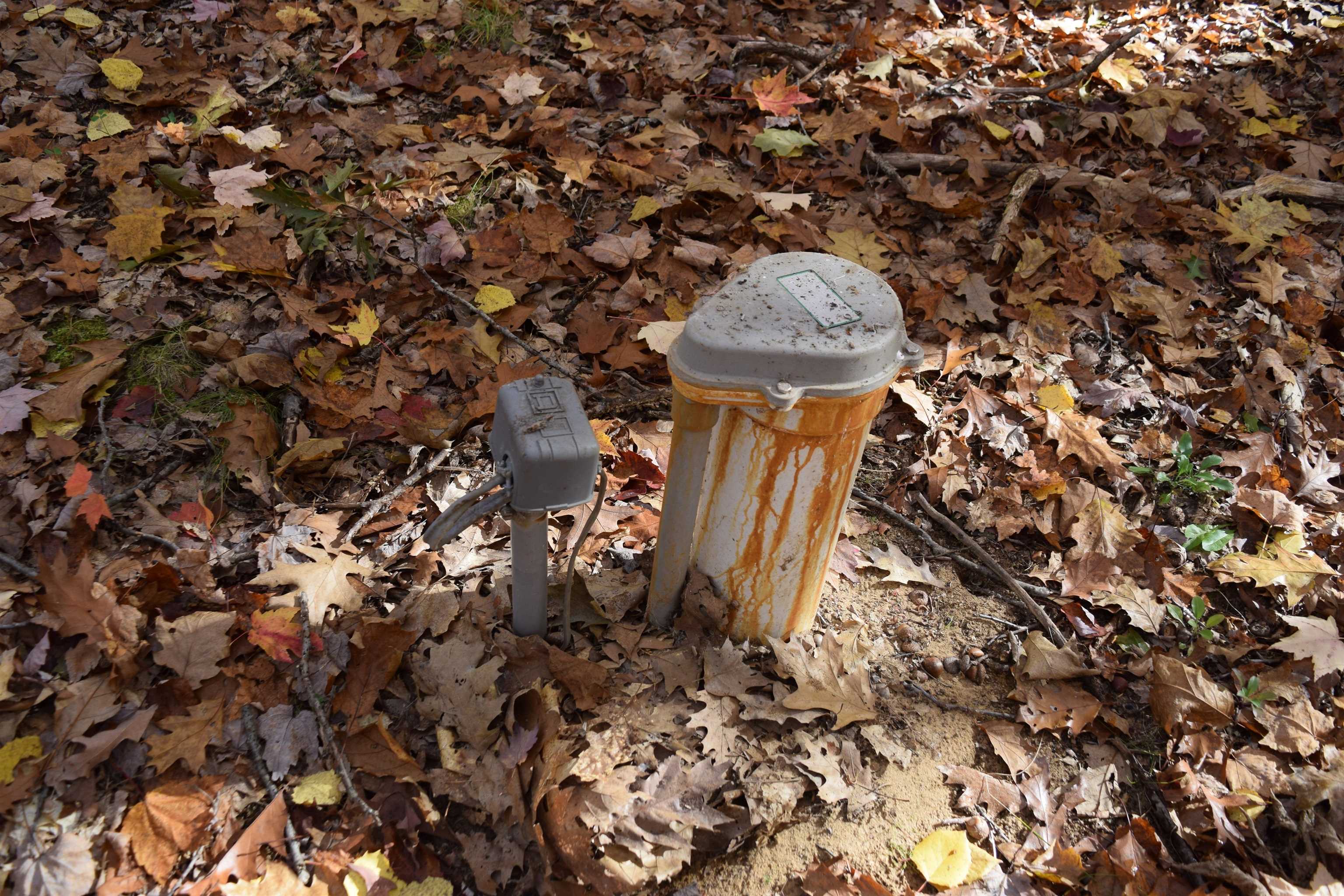 Stillwagon Road Gladwin, MI 48624 - Photo 10 of 15 Gallery Image 10