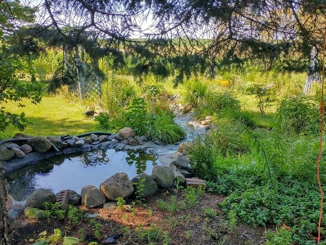 9101 North Church Road Davis, IL 61019 - Photo 27 of 38 a view of a lake with a yard and large trees