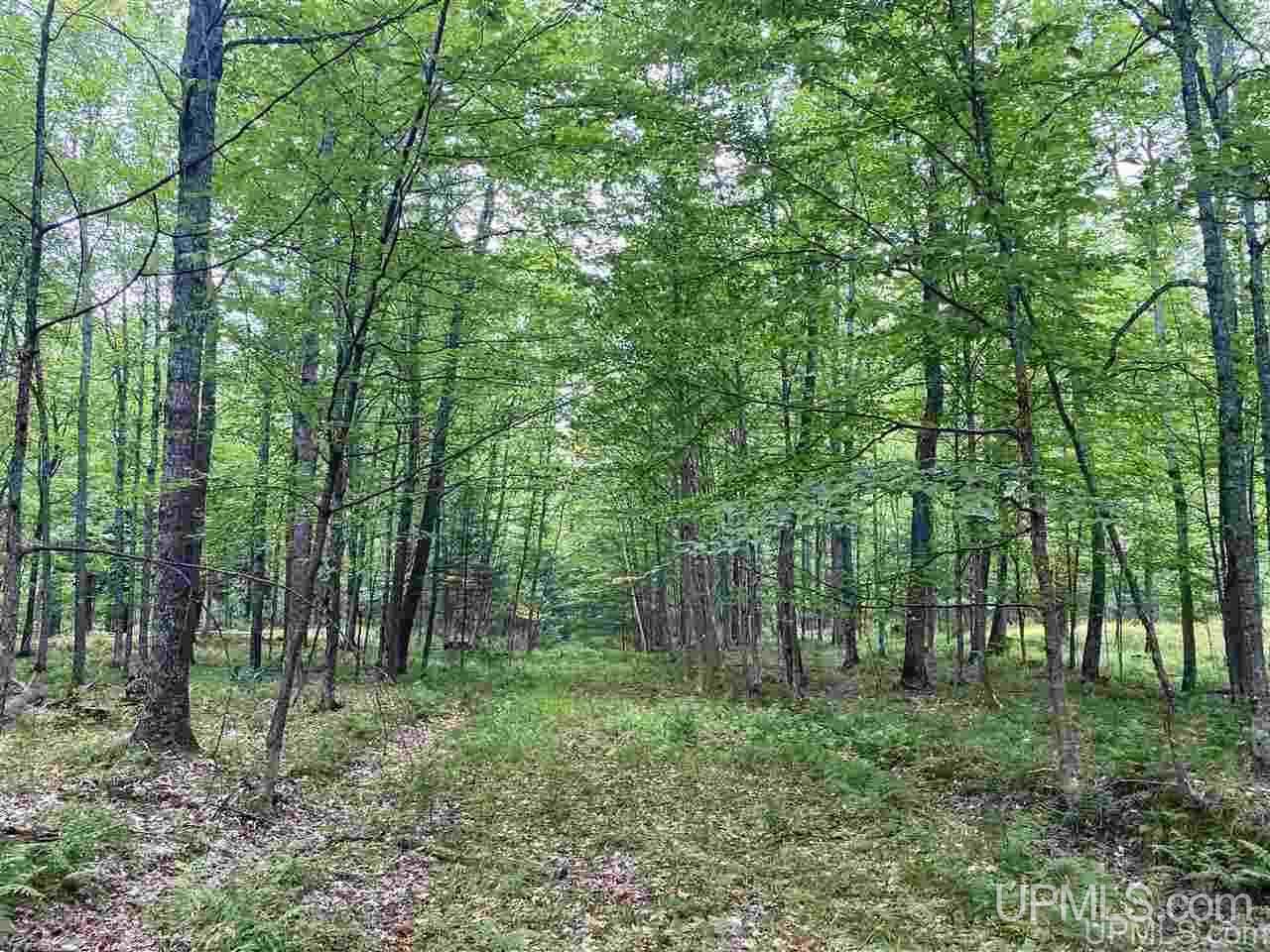 Tbd Tbd Grace Lake Road Watersmeet, MI 49969 - Photo 14 of 16