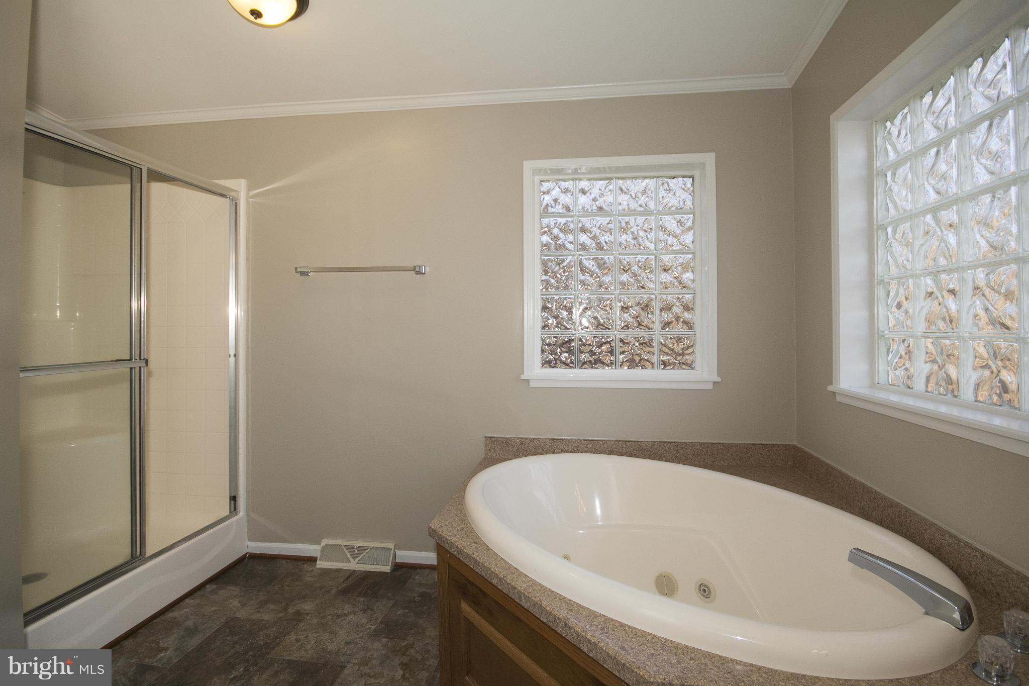 808 Miller Road Parkton, MD 21120 - Photo 22 of 29 Bath (Master)