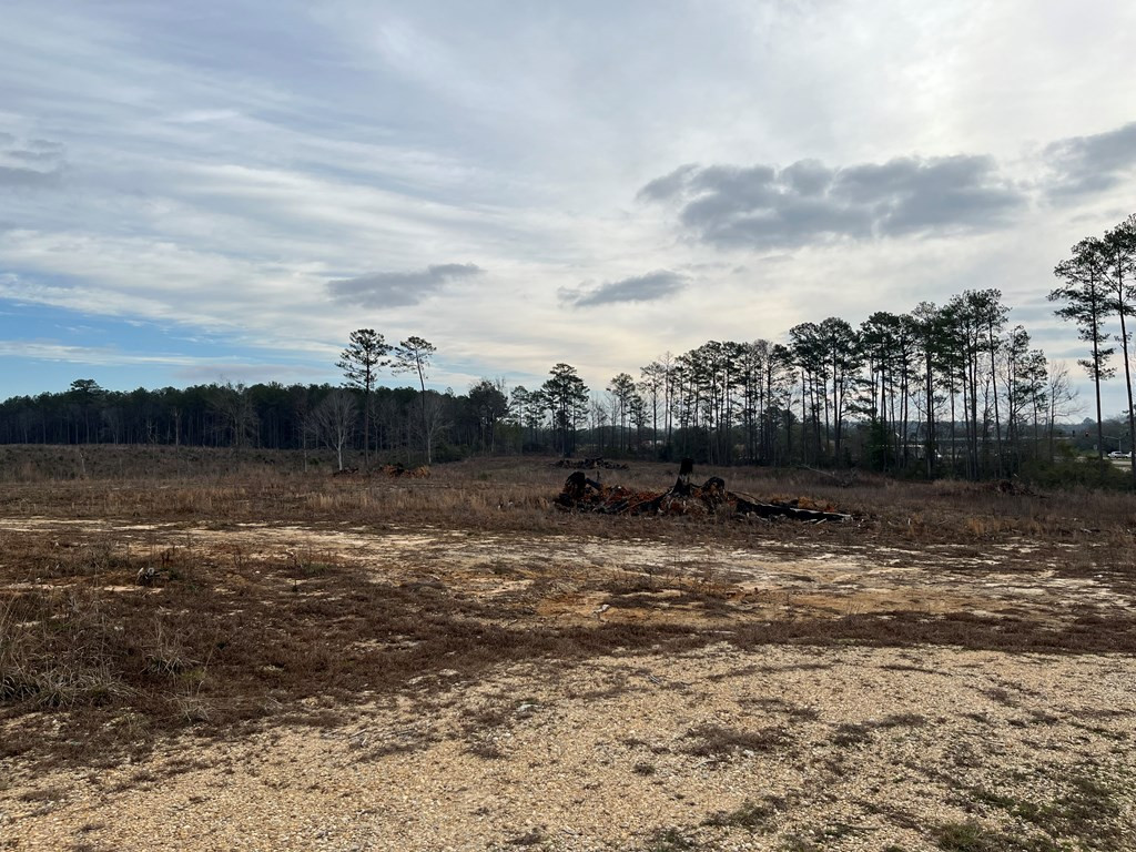 4149 Highway 24 McComb, MS 39648 - Photo 6 of 12 East View