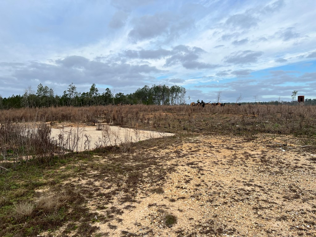 4149 Highway 24 McComb, MS 39648 - Photo 8 of 12 North View