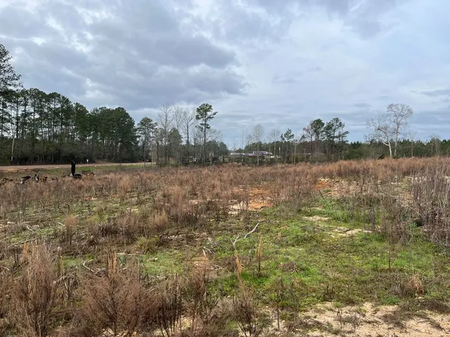 $2,500,000 | 4149 Highway 24, McComb, MS 39648