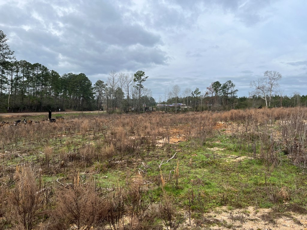 4149 Highway 24 McComb, MS 39648 - Photo 10 of 12 West View