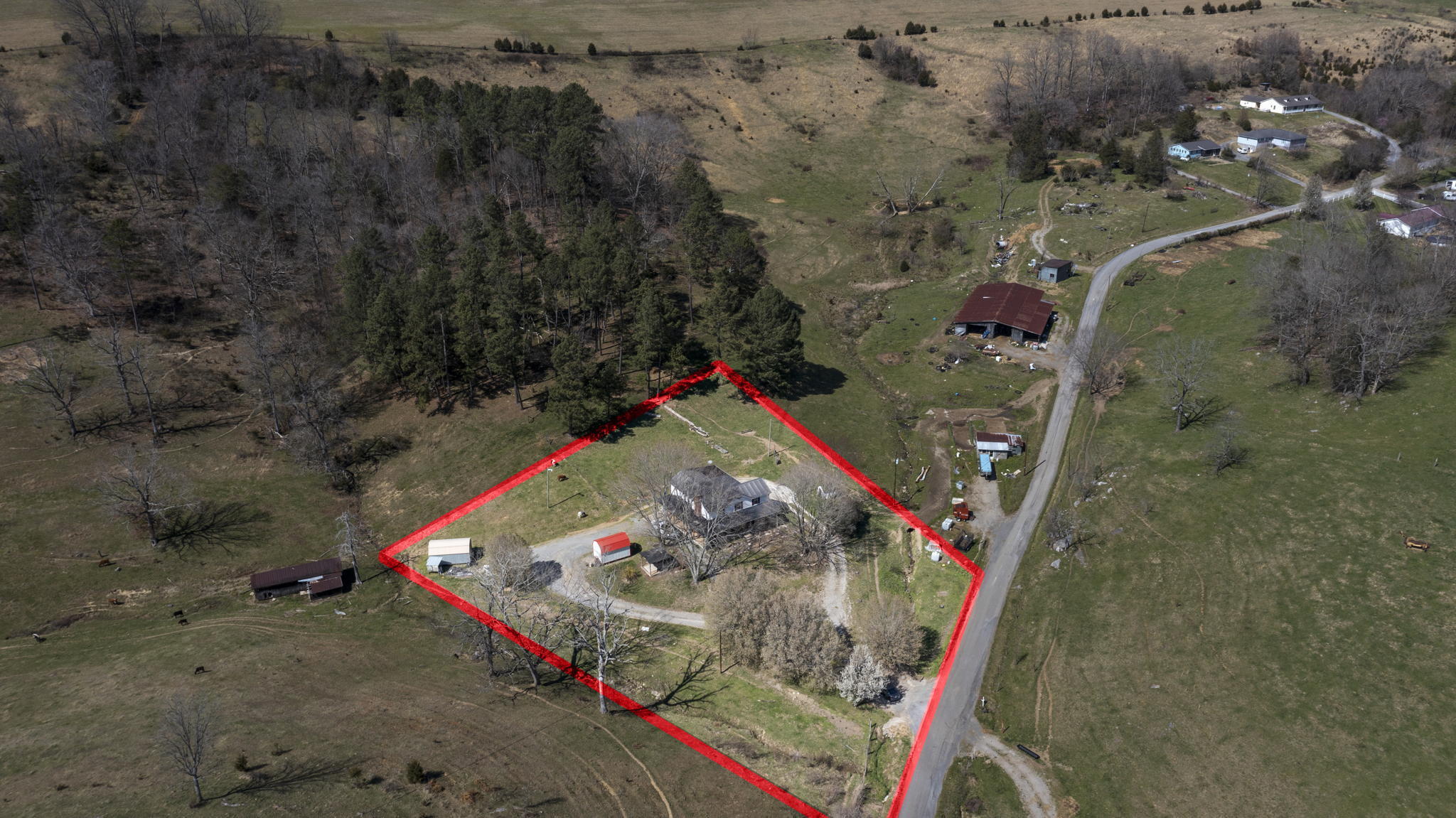 245 Webb Road Rogersville, TN 37857 - Photo 4 of 53 1 acre.