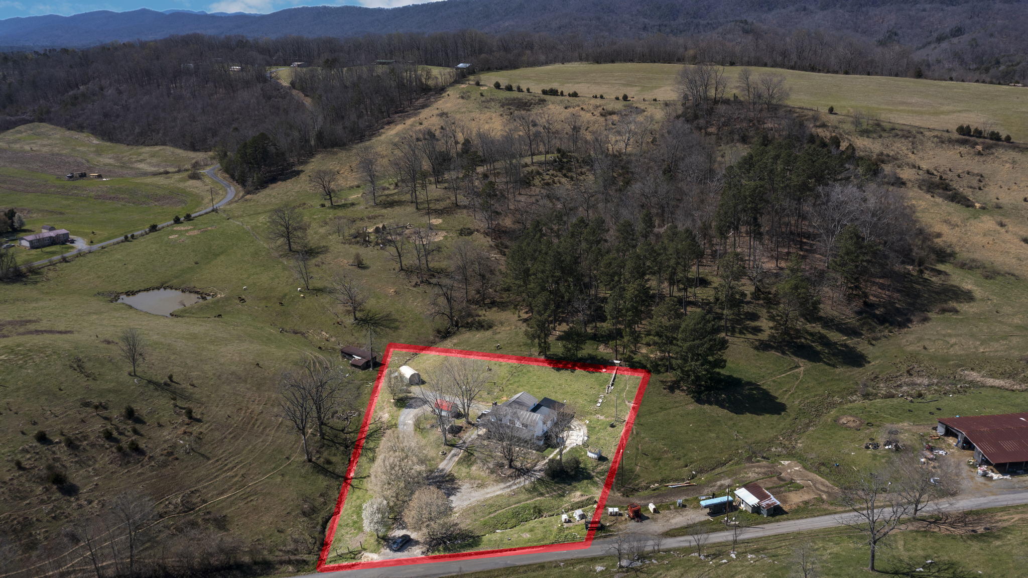 245 Webb Road Rogersville, TN 37857 - Photo 5 of 53 1 acre.