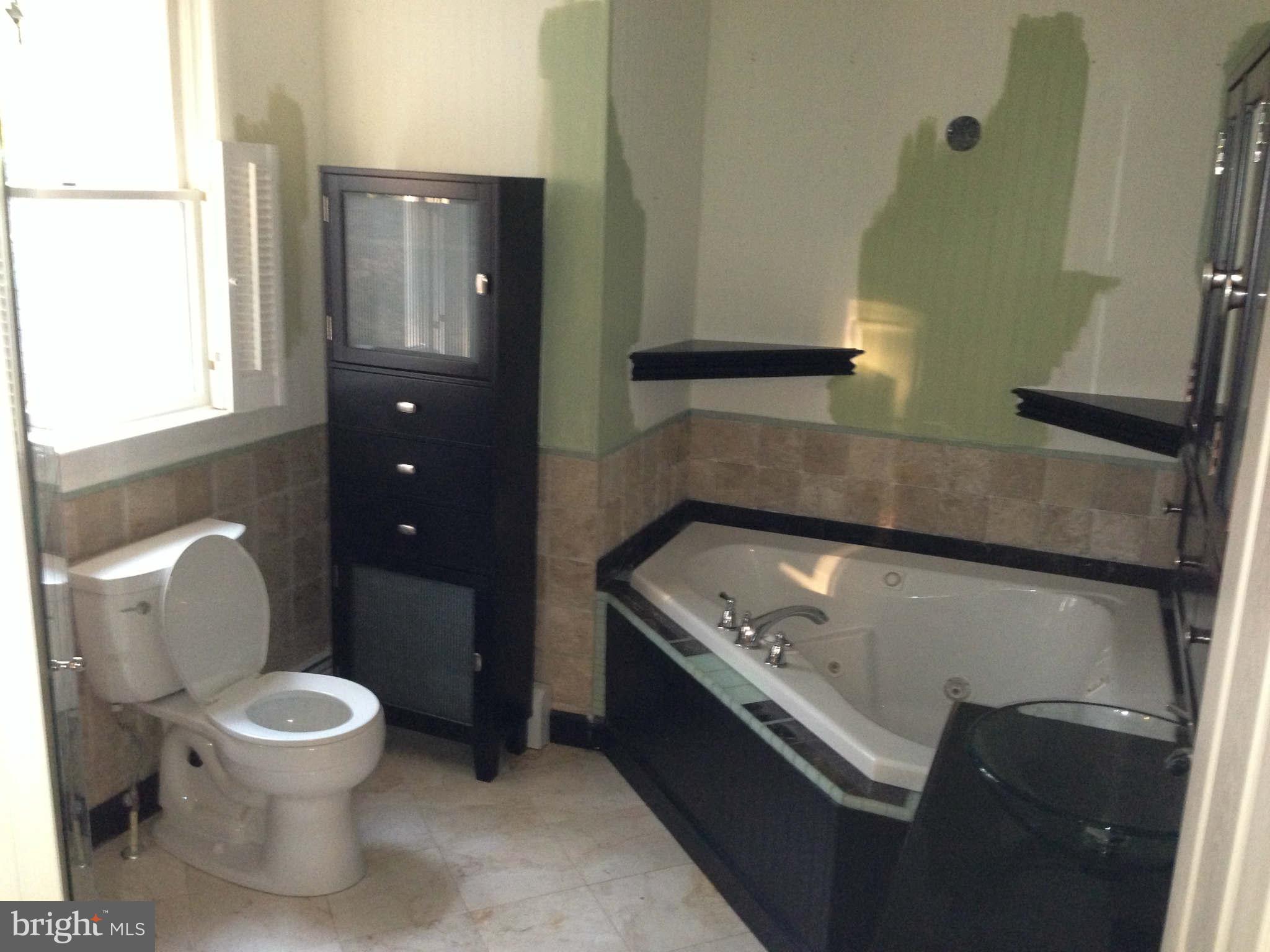 7561 Morgan Road Woodbine, MD 21797 - Photo 13 of 26 Bath (Master)