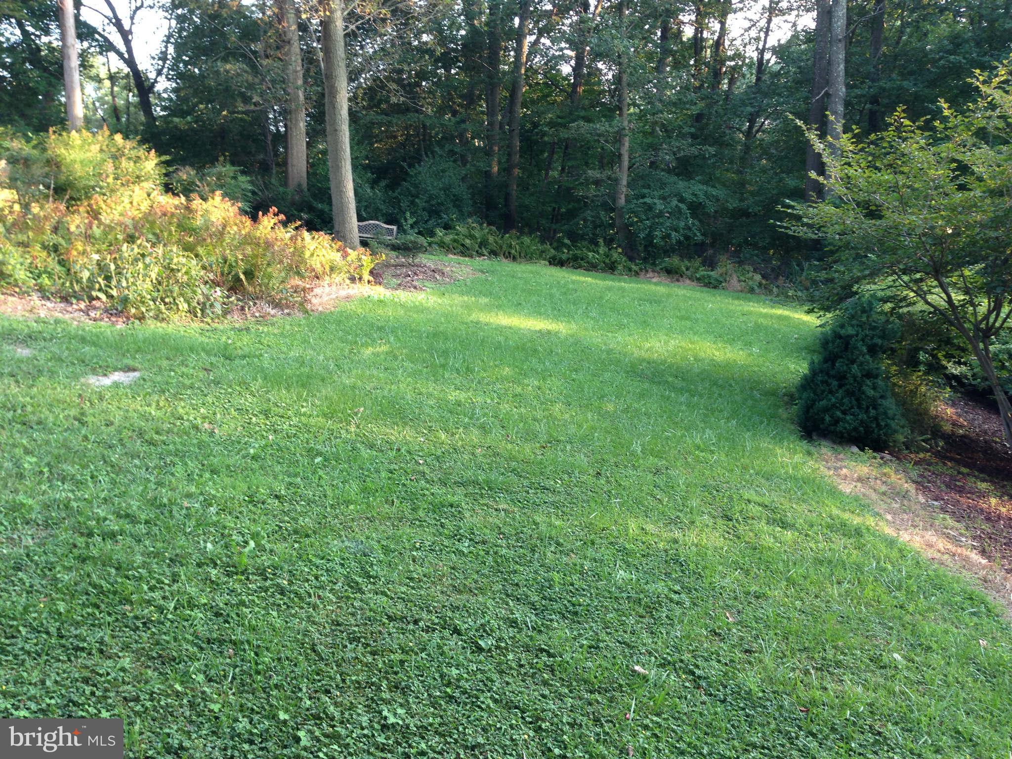 7561 Morgan Road Woodbine, MD 21797 - Photo 5 of 26 Exterior (Rear)
