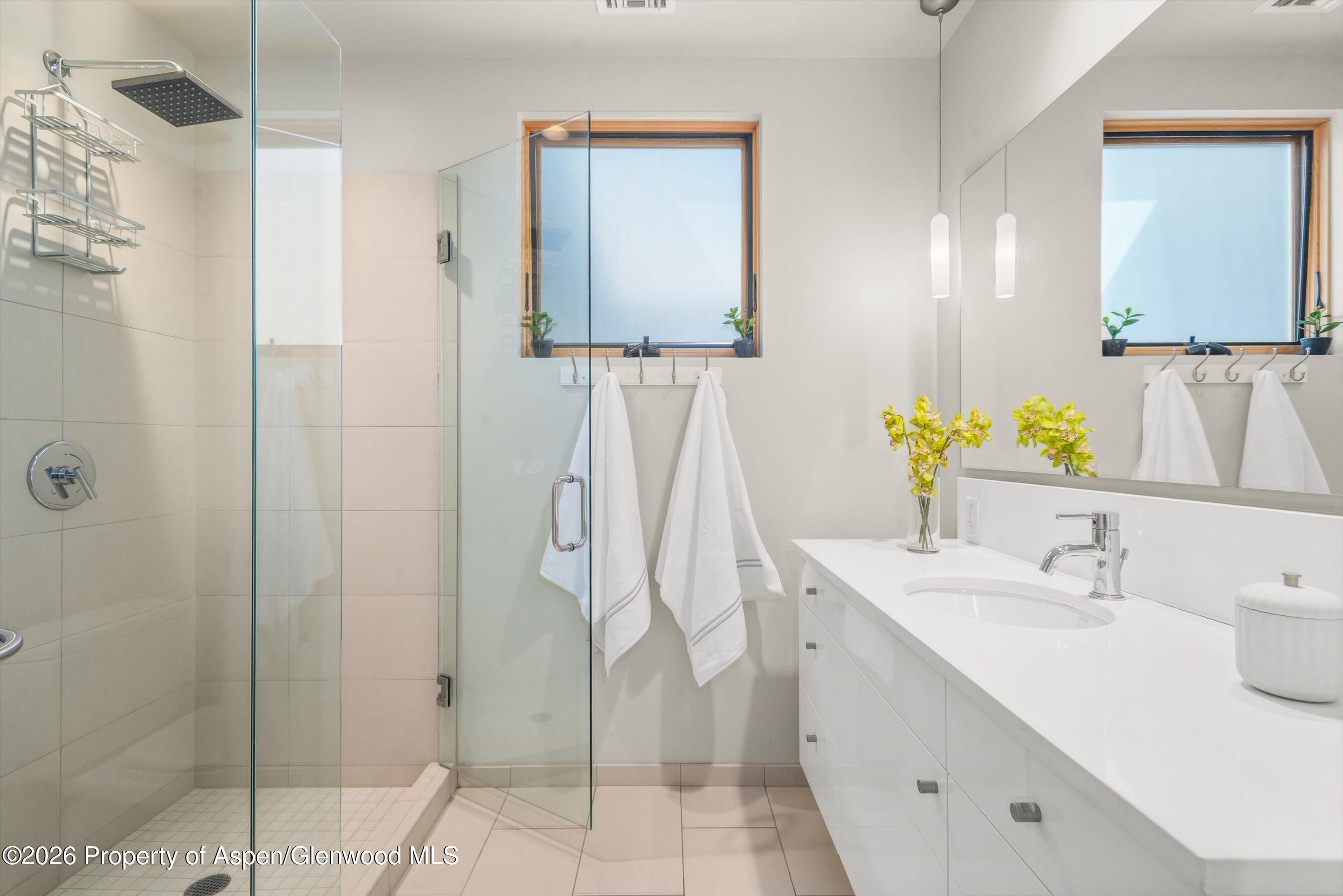 202 Evans Road, Unit 101 Basalt, CO 81621 - Photo 22 of 28 Guest Bath #1